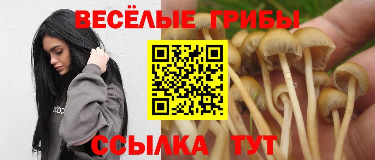 как найти закладки  Вход с VPN  Ирбит  Псилоцибиновые грибы MAGIC MUSHROOMS 